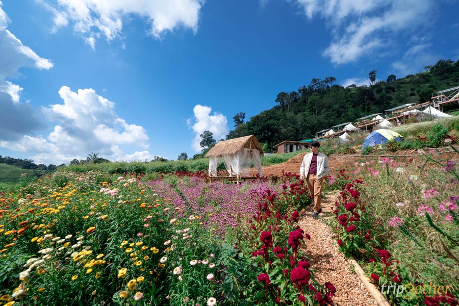 13 ที่พักม่อนแจ่ม อัปเดตปลายปี 2020