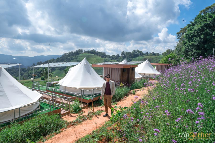 13 ที่พักม่อนแจ่ม อัปเดตปลายปี 2020