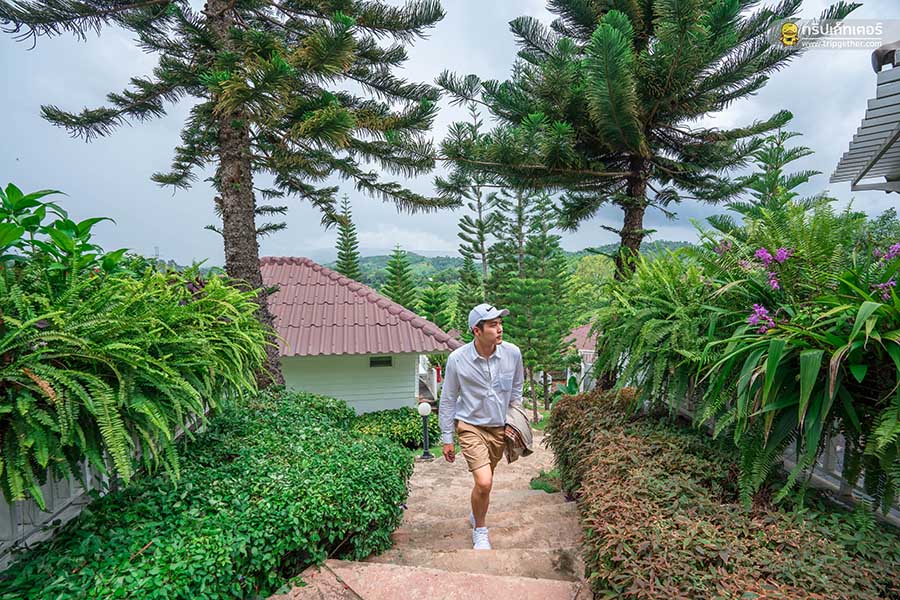 อัปเดต 15 ที่พักเขาค้อ คัดมาเฉพาะที่เด็ดๆ นอนชมทะเลหมอกได้ฟินๆ