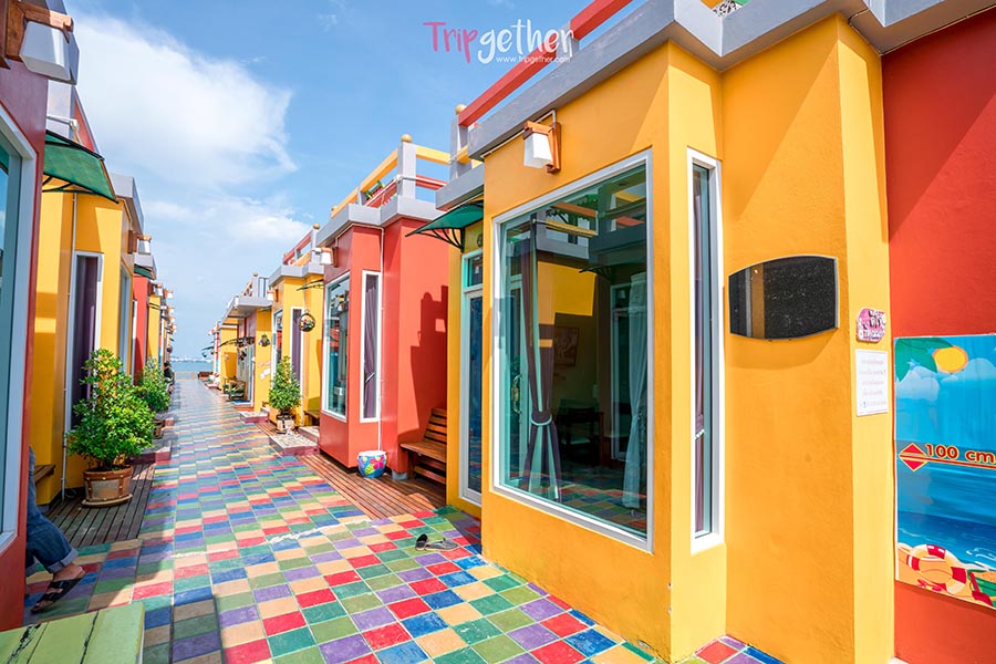 Rachawadeemoonlight_13