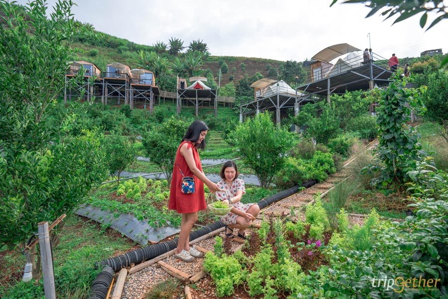 13 ที่พักม่อนแจ่ม อัปเดตปลายปี 2020