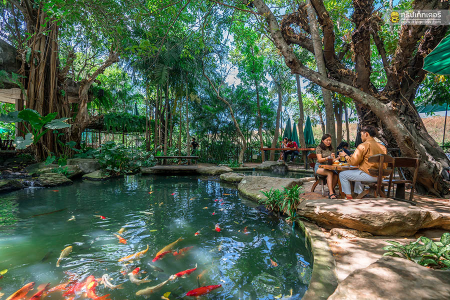 ร้านน่านั่งบางแสน พัทยา สัตหีบ