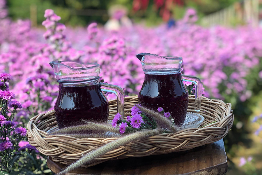 5 ทุ่งดอกไม้ในเชียงใหม่ หนาวนี้ต้องแวะแชะรูปอัพโปรไฟล์ ให้โลกสดใสด้วยดอกไม้บาน