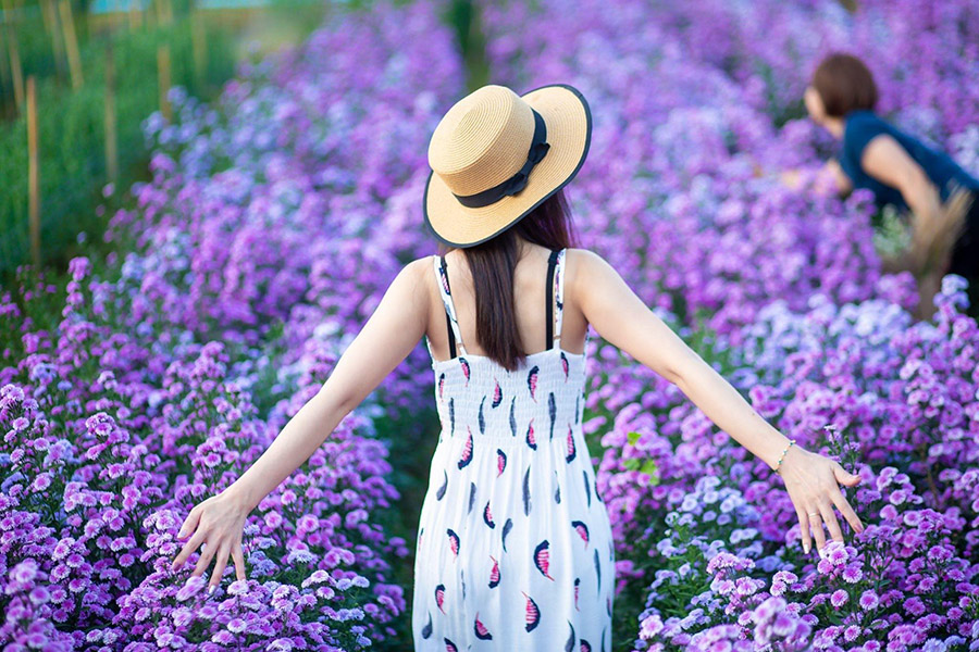 5 ทุ่งดอกไม้ในเชียงใหม่ หนาวนี้ต้องแวะแชะรูปอัพโปรไฟล์ ให้โลกสดใสด้วยดอกไม้บาน