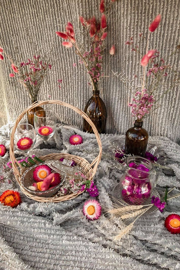 5 ทุ่งดอกไม้ในเชียงใหม่ หนาวนี้ต้องแวะแชะรูปอัพโปรไฟล์ ให้โลกสดใสด้วยดอกไม้บาน