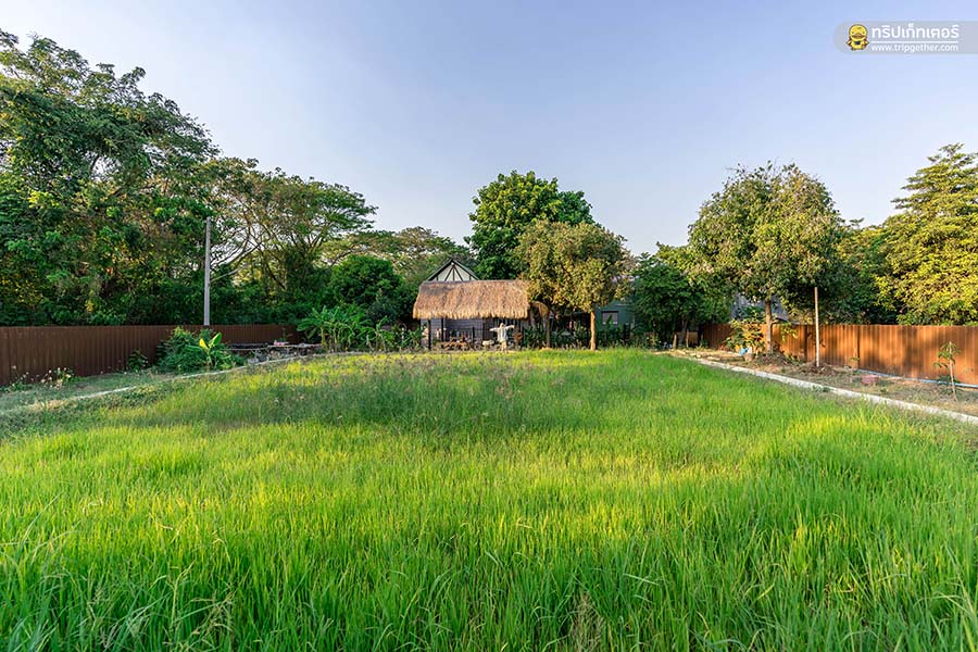 Tahjeen_Riverhome-169