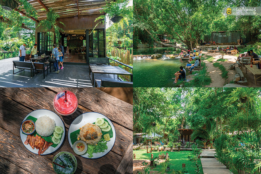 30 คาเฟ่เขาใหญ่ - วังน้ำเขียว - ปากช่องต้องแวะเช็คอิน!