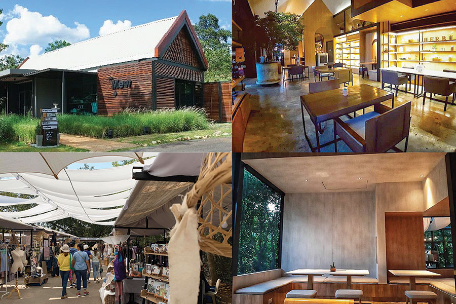 30 คาเฟ่เขาใหญ่ - วังน้ำเขียว - ปากช่องต้องแวะเช็คอิน!