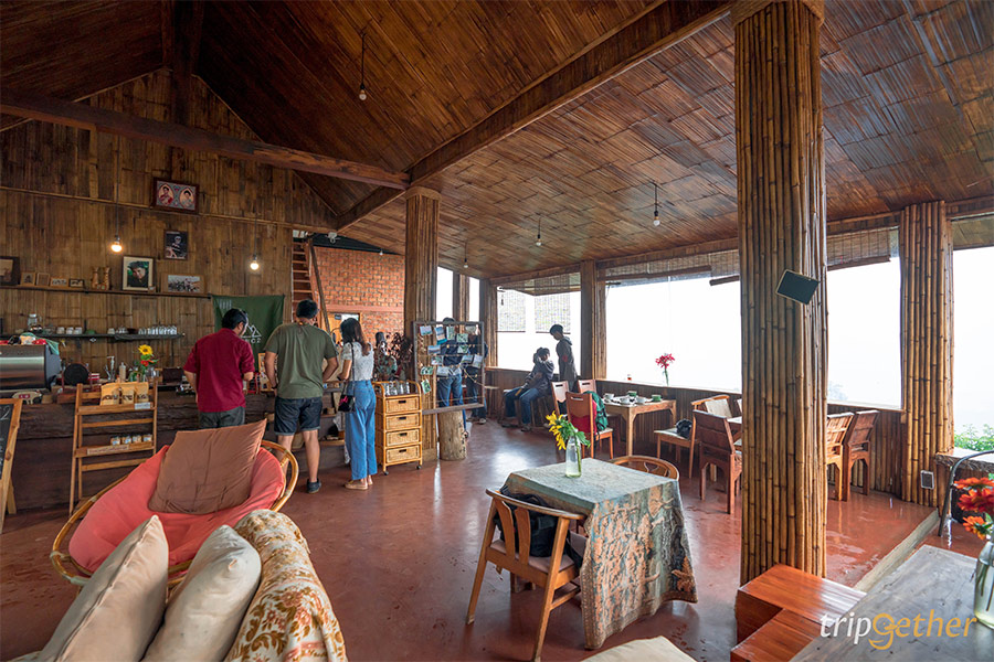 6 คาเฟ่ดอยช้าง เชียงราย