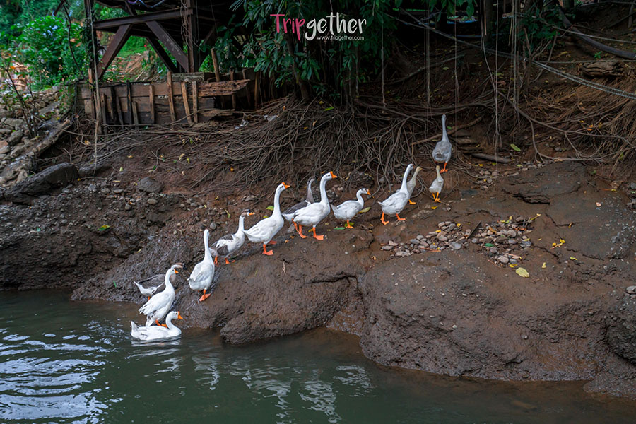 The_For_Rest_Resort-59