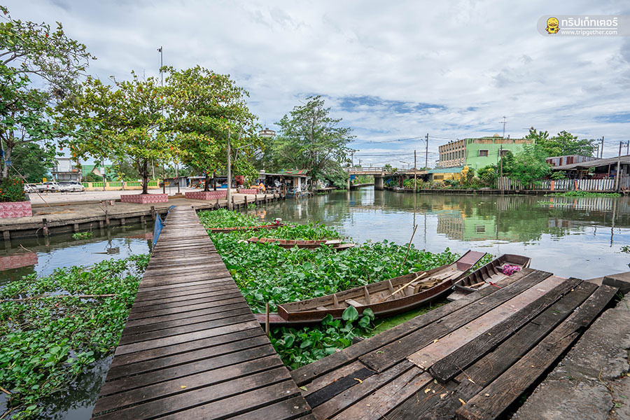 The_story_of_coconut-61