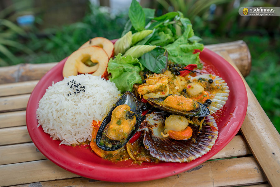 The_story_of_coconut-61