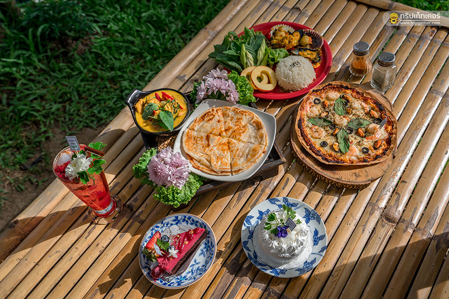 The_story_of_coconut-61