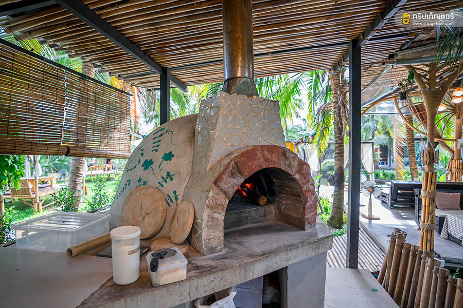 The_story_of_coconut-61