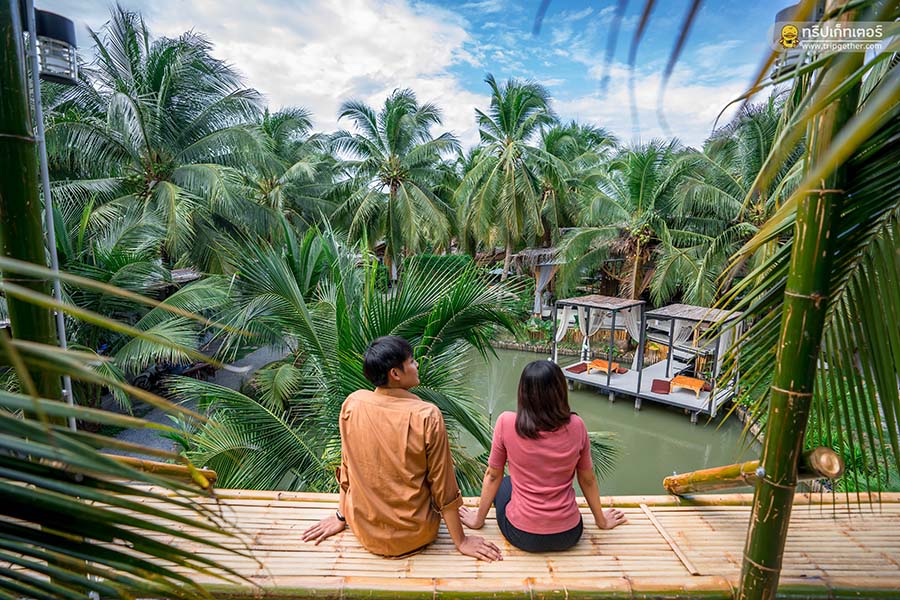 The_story_of_coconut-119