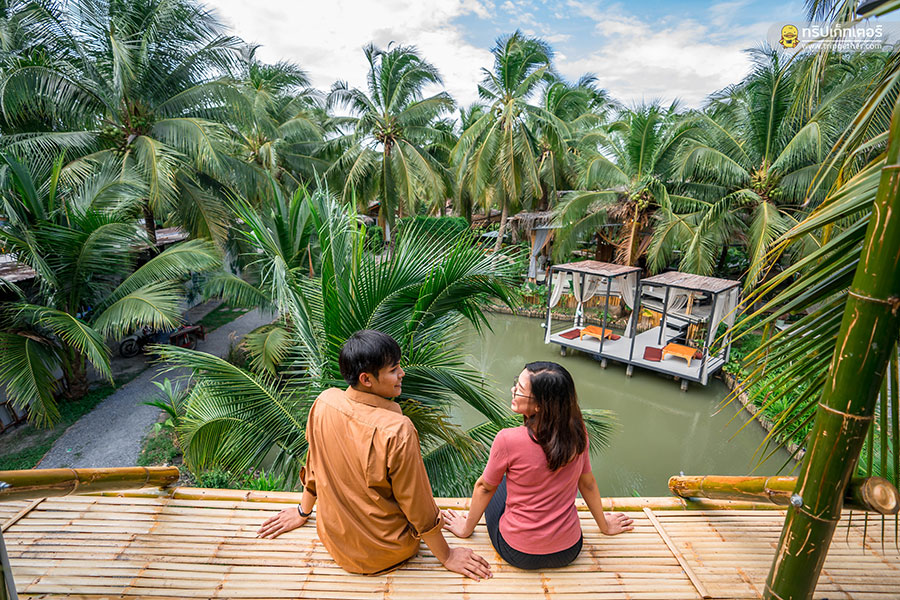 The_story_of_coconut-120