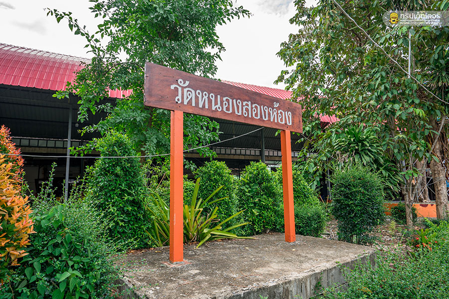 The_story_of_coconut-61