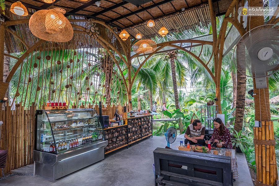 The_story_of_coconut-61