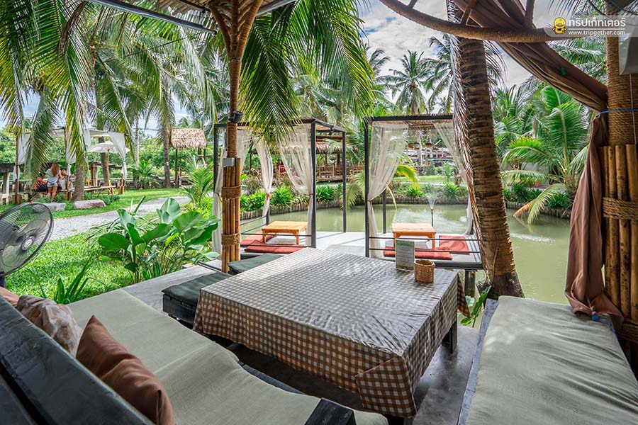 The_story_of_coconut-57