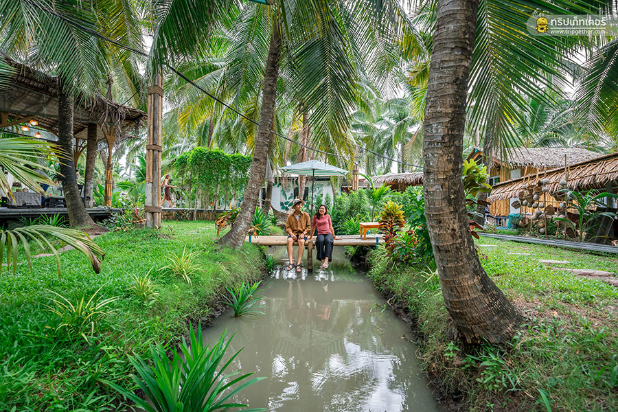 The_story_of_coconut-61