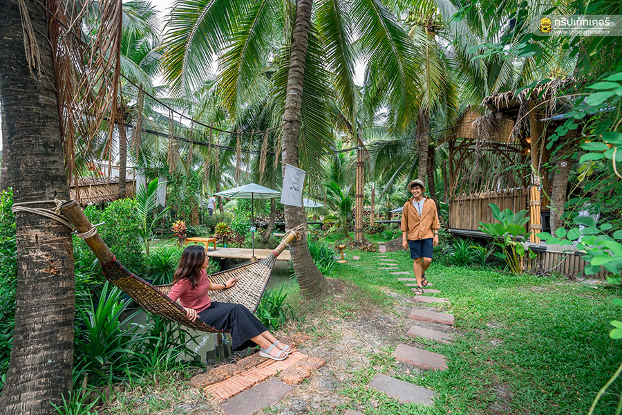 The_story_of_coconut-61