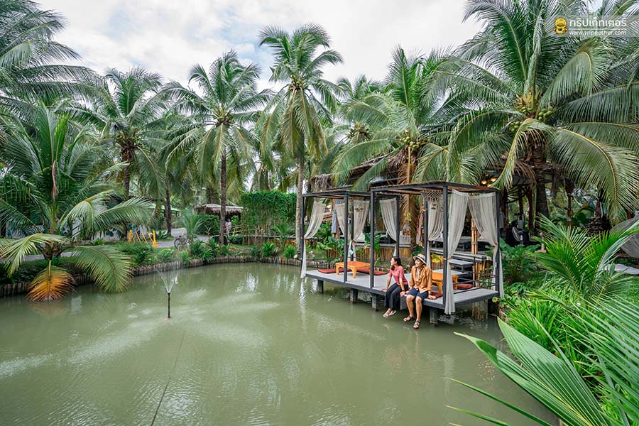 The_story_of_coconut-56