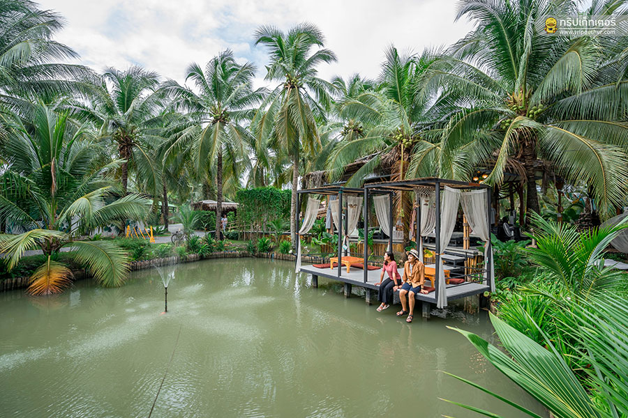 The_story_of_coconut-61