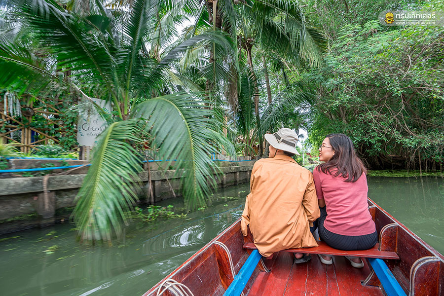 The_story_of_coconut-61