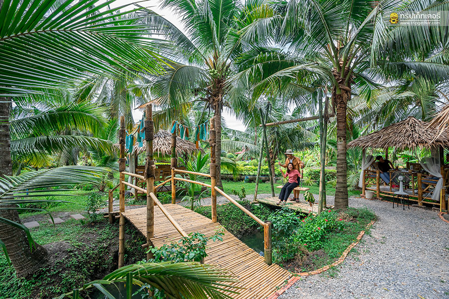 The_story_of_coconut-61