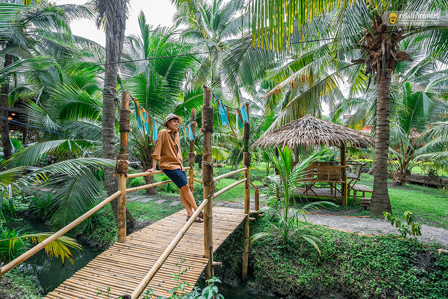 The_story_of_coconut-61