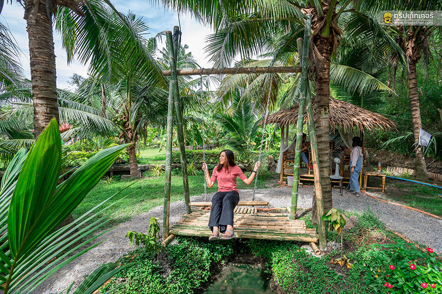 The_story_of_coconut-61