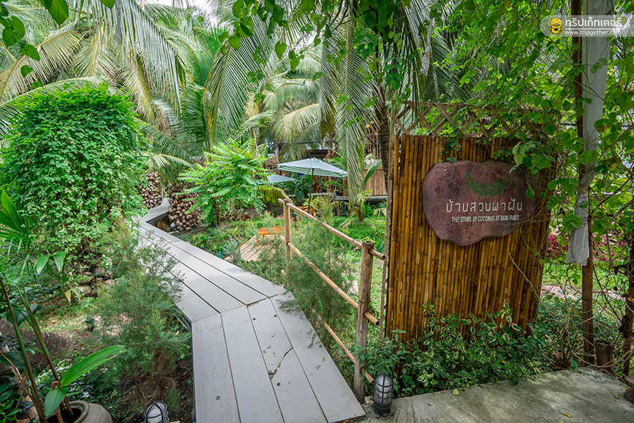 The_story_of_coconut-61