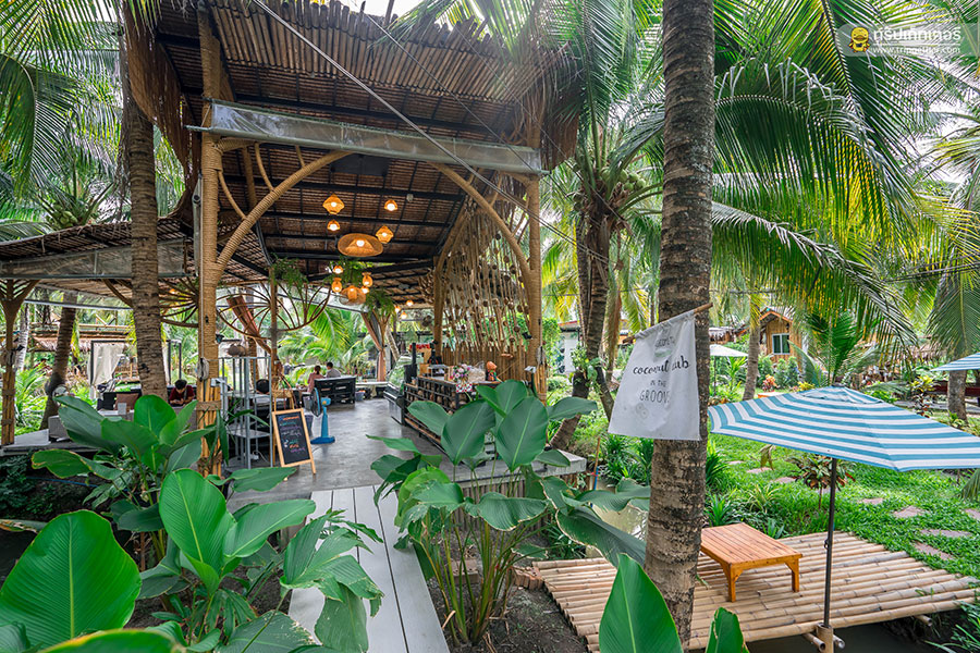 The_story_of_coconut-61