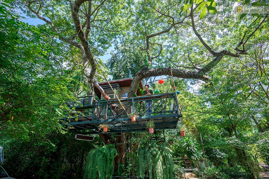 The_tree_House-12