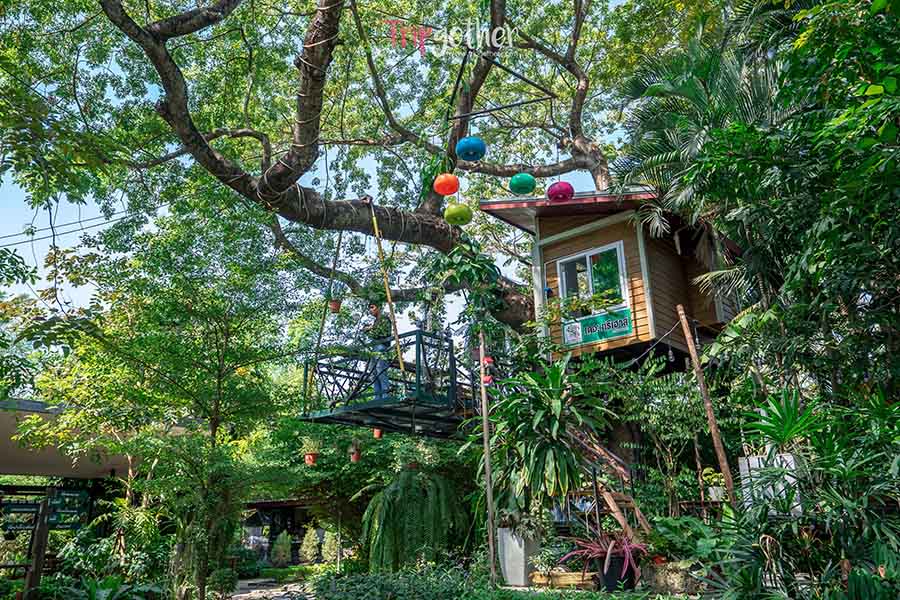 The_tree_House-10