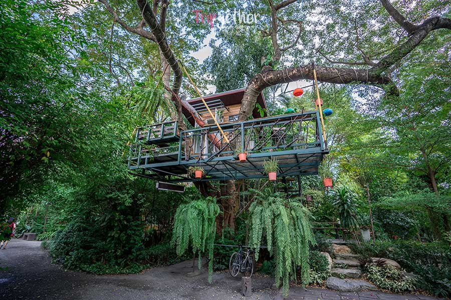 The_tree_House-42