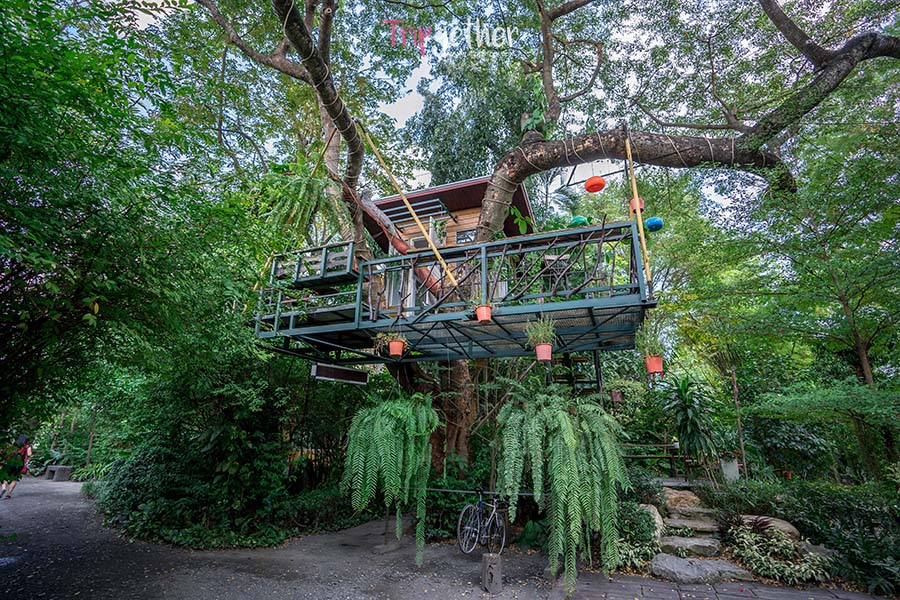 The_tree_House-42