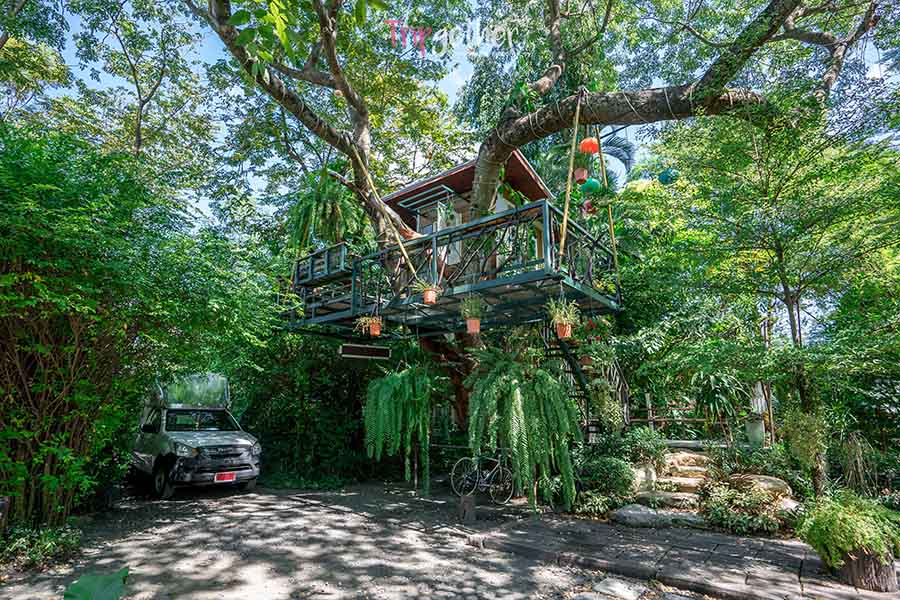 The_tree_House-5