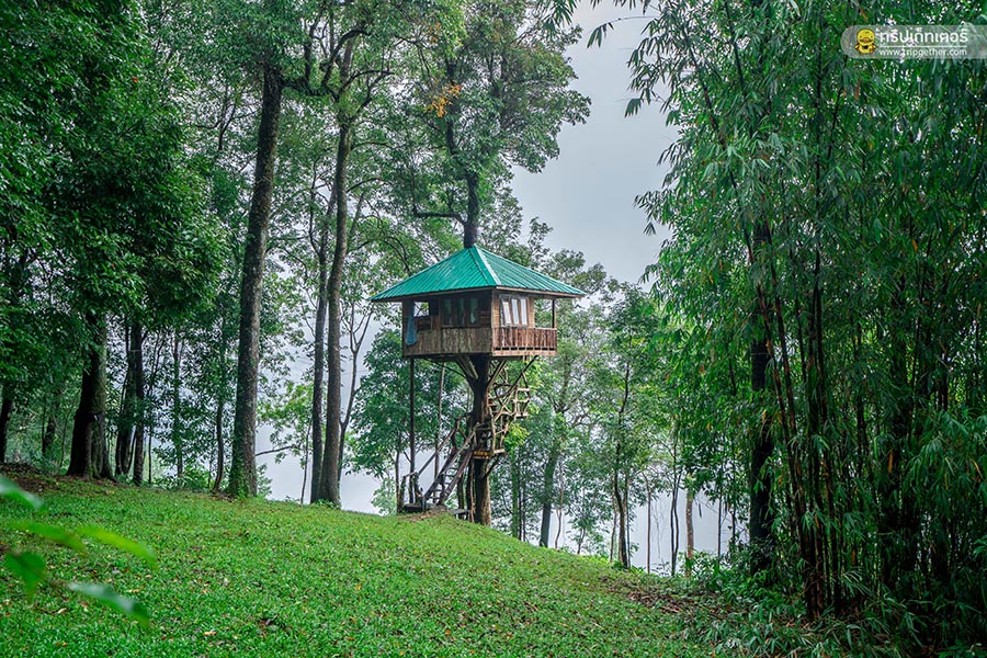 Thongphaphumcenter_29