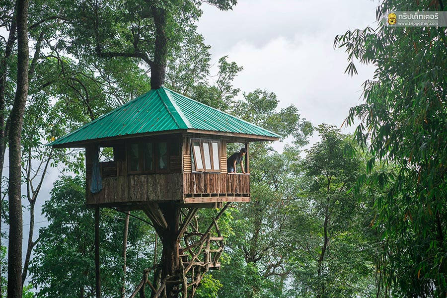 Thongphaphumcenter_30