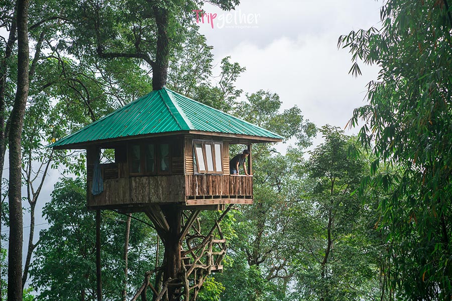 Thongphaphumcenter_30