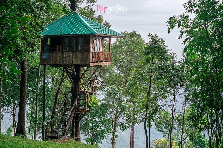 Thongphaphumcenter_32