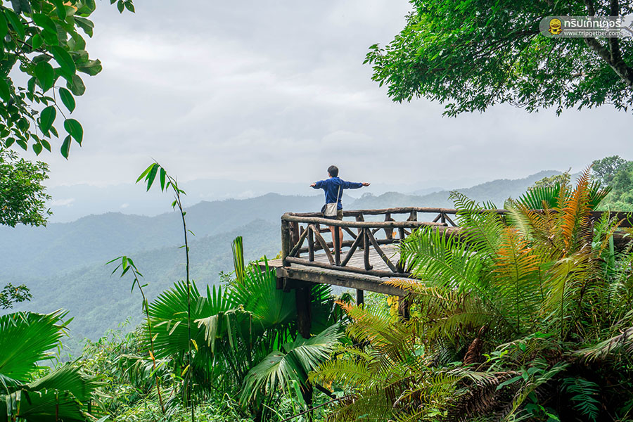 Thongphaphumcenter_50