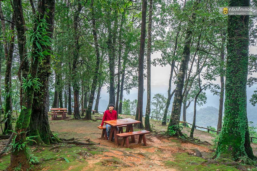 Thongphaphumcenter_55