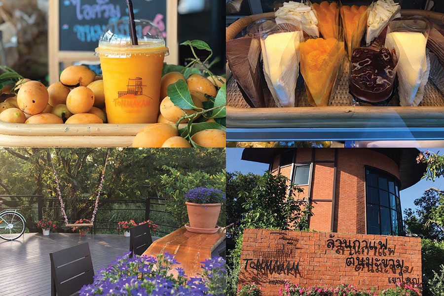 30 คาเฟ่เขาใหญ่ - วังน้ำเขียว - ปากช่องต้องแวะเช็คอิน!