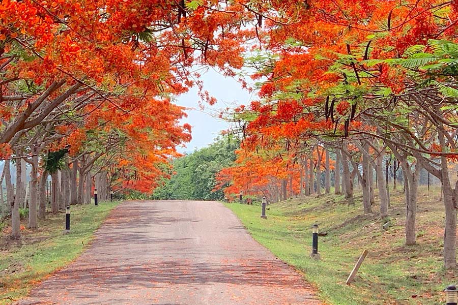 Umonghangnokyoong_03