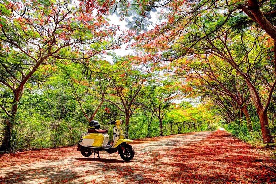 Umonghangnokyoong_06