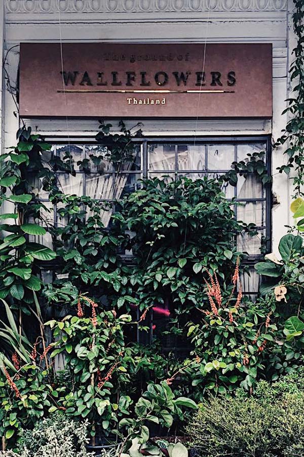 Wallflower_02