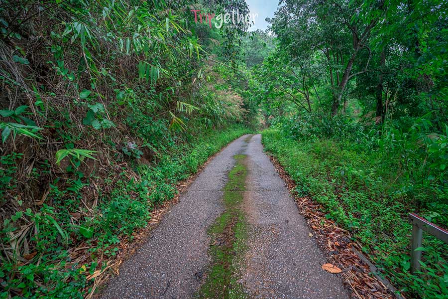 Watchareamphakietlampang_51