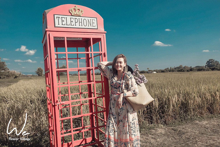 5 ทุ่งดอกไม้ในเชียงใหม่ หนาวนี้ต้องแวะแชะรูปอัพโปรไฟล์ ให้โลกสดใสด้วยดอกไม้บาน